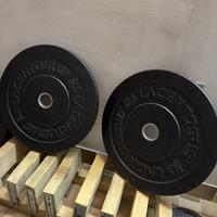 2dischi da 5 kg l’uno (lacertosus)