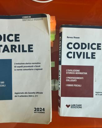 Codice notarile e civile viggiani