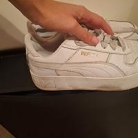 Puma nuove 38