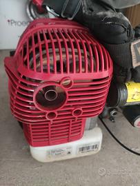 Scuotitore cifarelli SC800