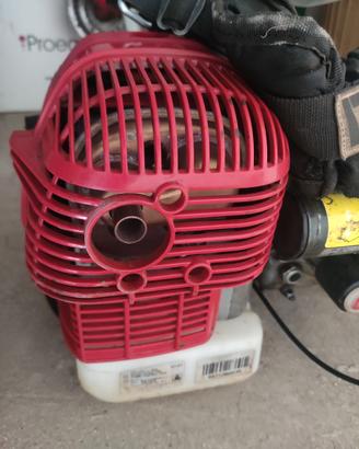 Scuotitore cifarelli SC800