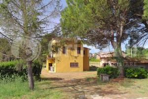 Casa Indipendente Bettona [GRIM2888VRG]