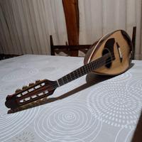 mandolino da concerto