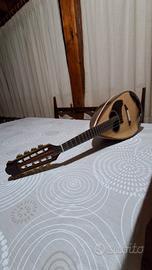 mandolino da concerto