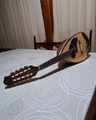 mandolino da concerto