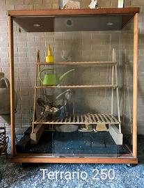 terrario