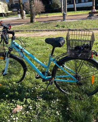 Bicicletta ibrida bounty avenue