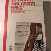 LETTERATURA AMERICANA    CINEMA 