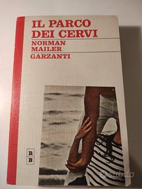 LETTERATURA AMERICANA    CINEMA 