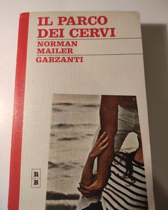 LETTERATURA AMERICANA    CINEMA 