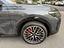 Immagine 16