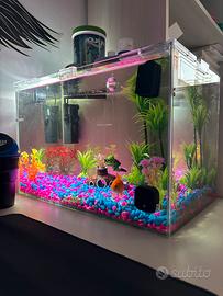 Acquario 40 litri + Filtro, Luce e Accessori
