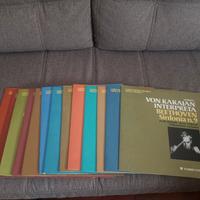 raccolta vinili "i grandi della musica"