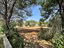 Immagine 21