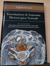 Esercitazioni di Anatomia 