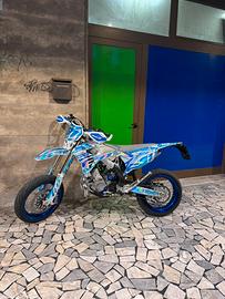 Tm 300 SMR 2t 2024
