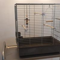 grande gabbia gabbione voliera