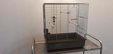 grande gabbia gabbione voliera