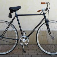 bici da uomo