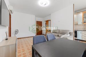 BILOCALE CON CANTINA