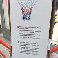canestro basket 