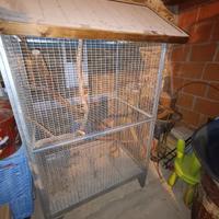 voliera uccelli, scoiattoli 