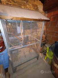 voliera uccelli, scoiattoli 