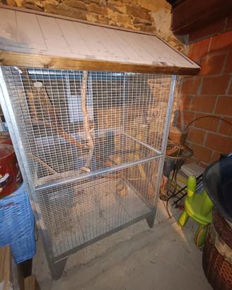 voliera uccelli, scoiattoli 