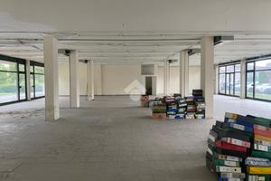 NEGOZIO A BUSSOLENGO