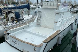 Raffaelli Big Game 2003