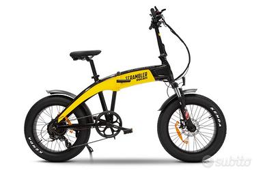 Bici elettrica 250 w