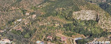Terreno agricolo e biologico con edificabilità
