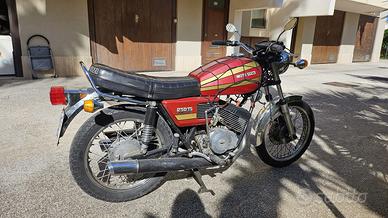 Moto Guzzi 250 TS