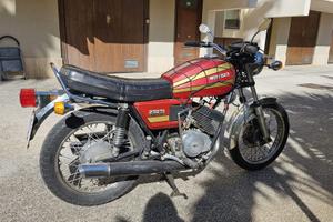 Moto Guzzi 250 TS