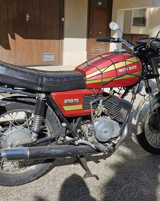 Moto Guzzi 250 TS