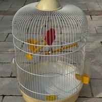 Gabbia per Uccellini Completa di Accessori