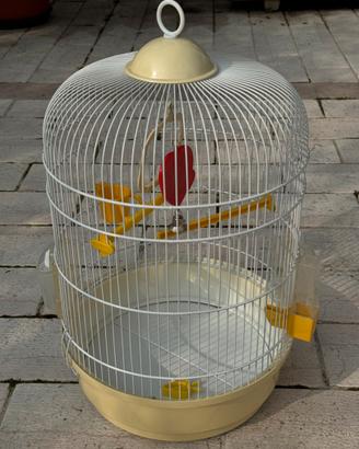 Gabbia per Uccellini Completa di Accessori