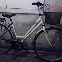 bicicletta donna ruota 26 con cestino FRERA 