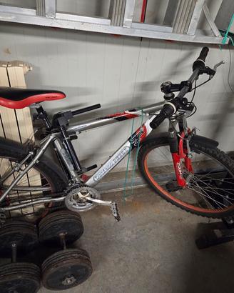 Mountain bike Luciano Pezzi