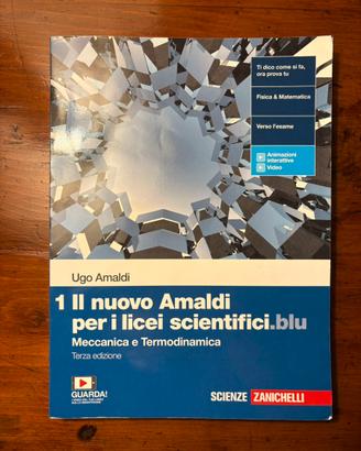 Il nuovo Amaldi per i licei scientifici.blu 1