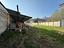 Immagine 27