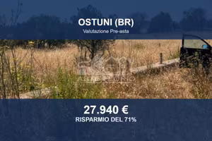 Immobile in asta di 13833 m² a Ostuni