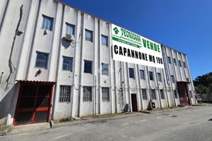 CAPANNONE A SENAGO