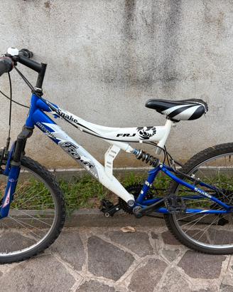 Bicicletta da bambino