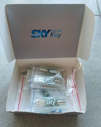 sky chiavetta usb dtt