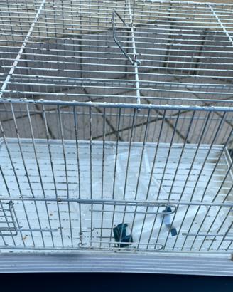 Gabbia per uccellini