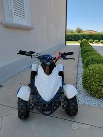 mini quad