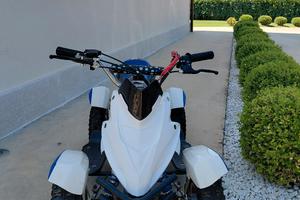 mini quad