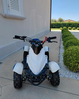 mini quad