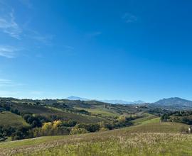 Terreno agricolo